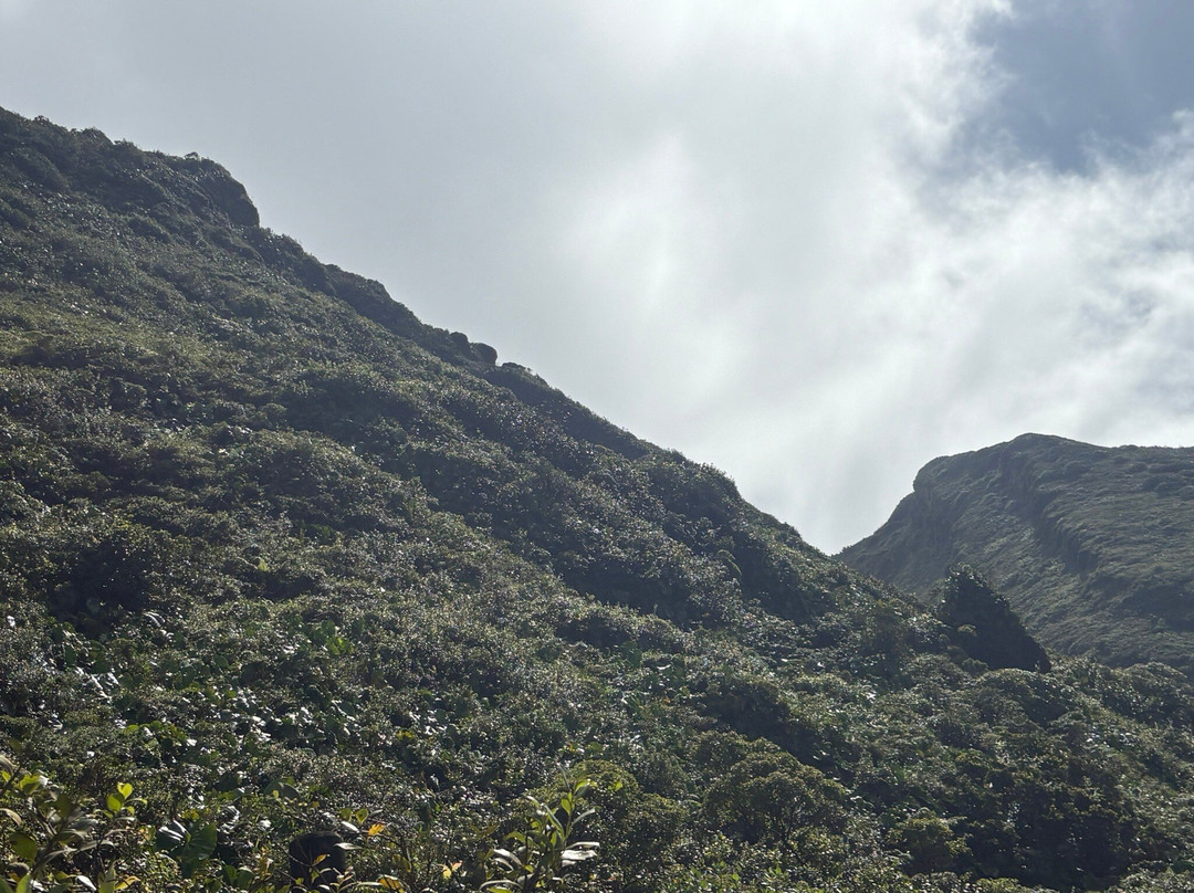 La Soufrière-Saint-Claude必去景点