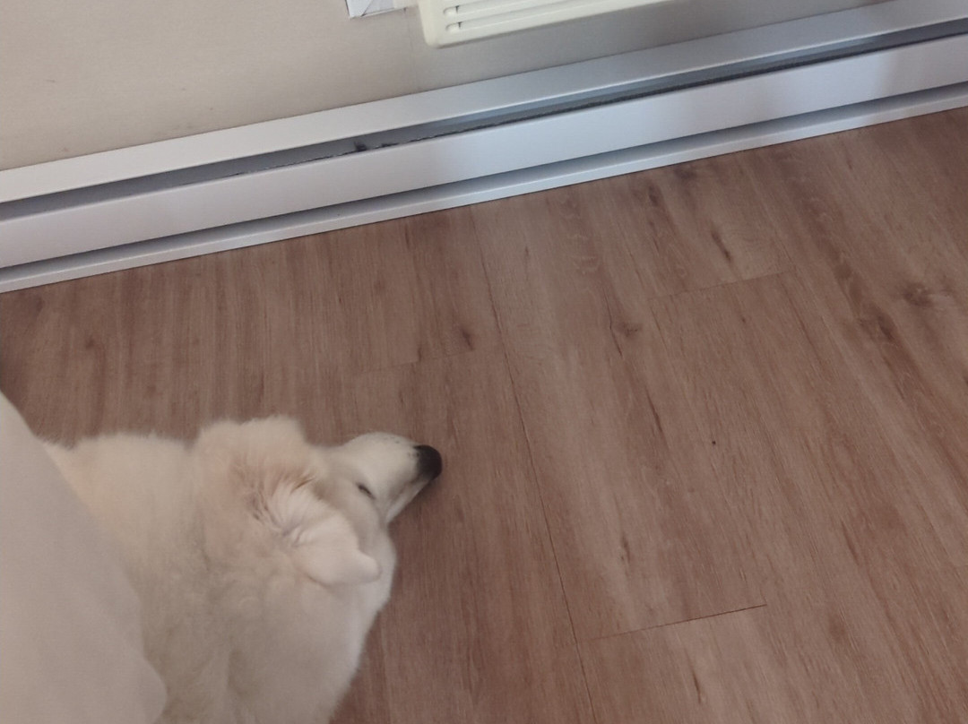 Clarion Pointe Quebec Airport主图