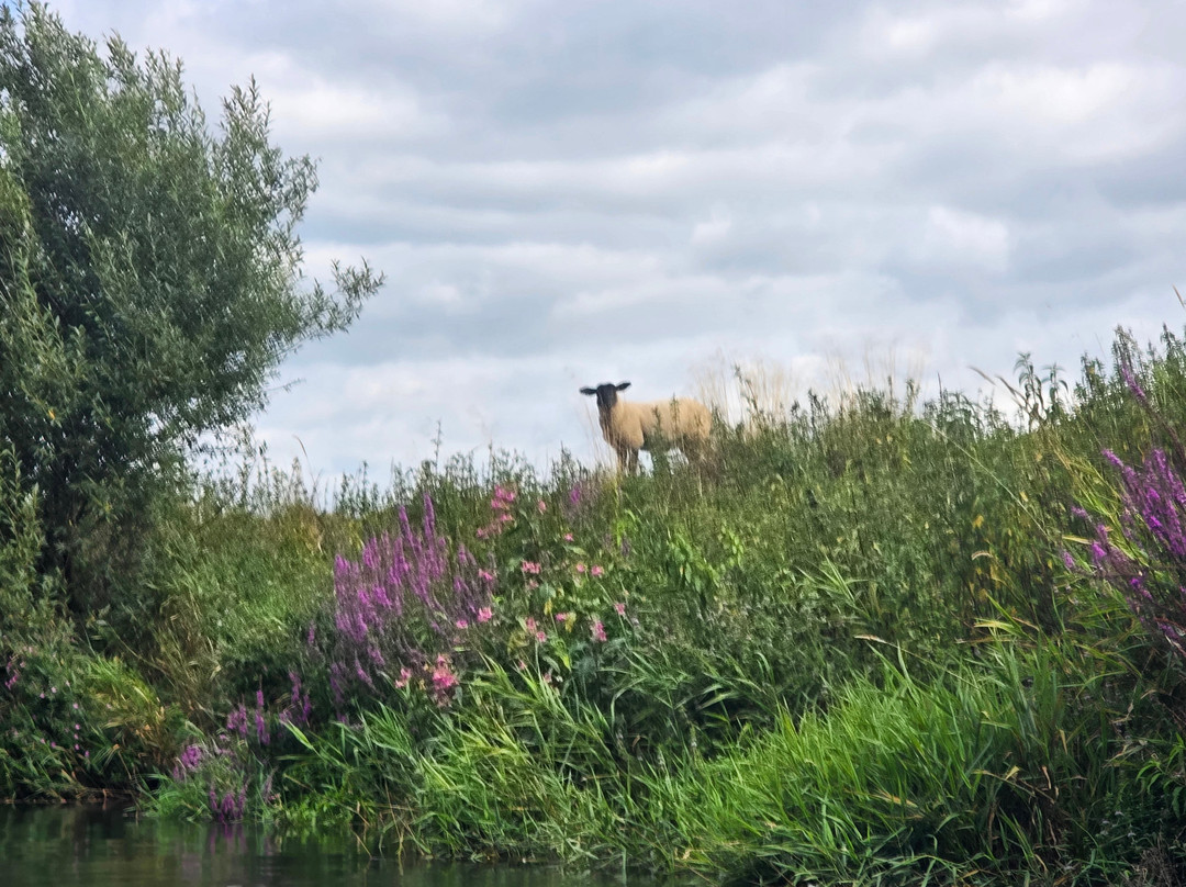 Fluid Adventures-奇切斯特必去景点