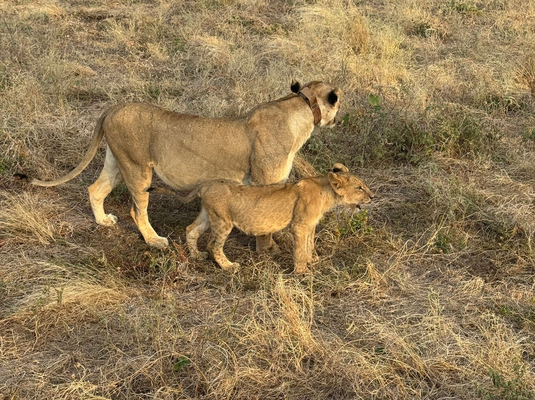 Truentum Tours & Safaris-查佛必去景点