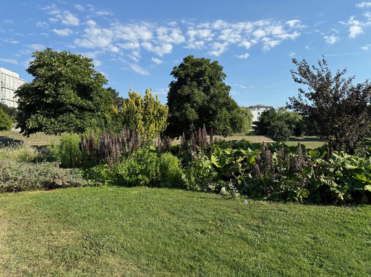 Le Jardin des Deux Rives-斯特拉斯堡必去景点