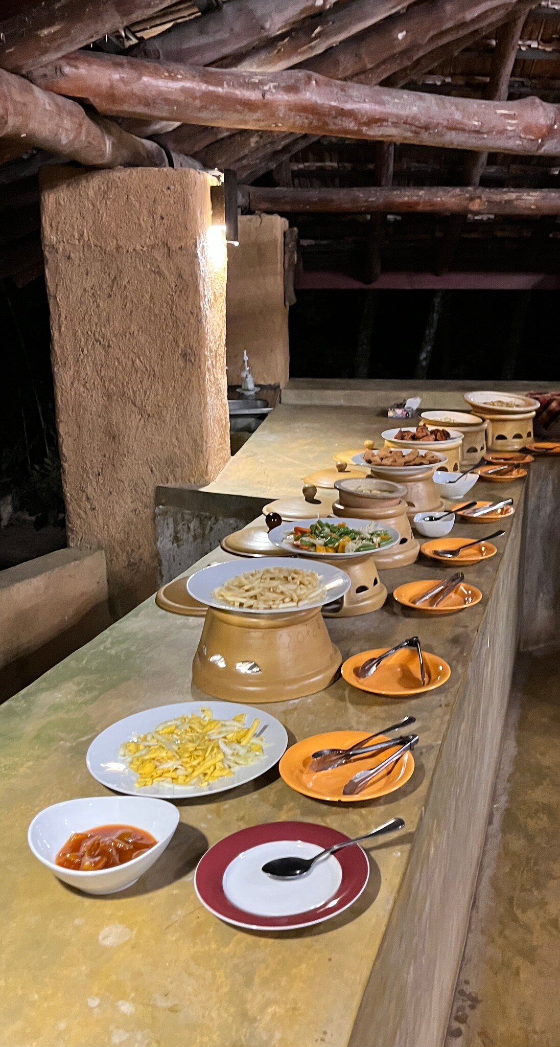 Rainforest Edge-官方