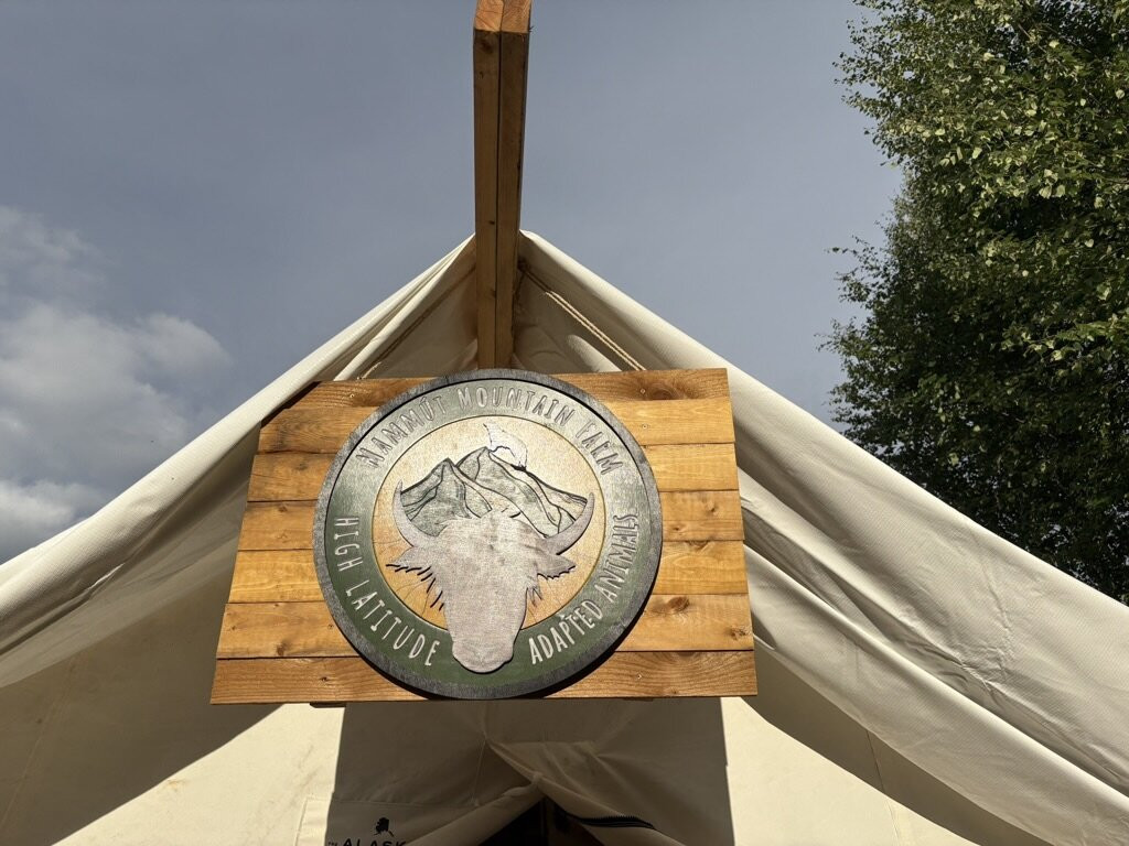 Mammut Mountain Yak Farm-Two Rivers必去景点