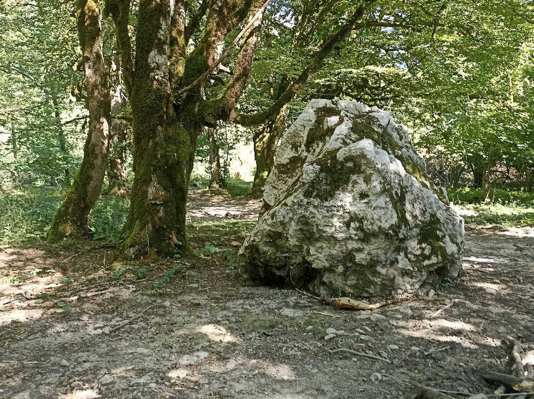 Gegskiy Waterfall-Gagra必去景点