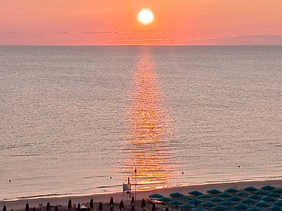 Hotel Napoleon主图