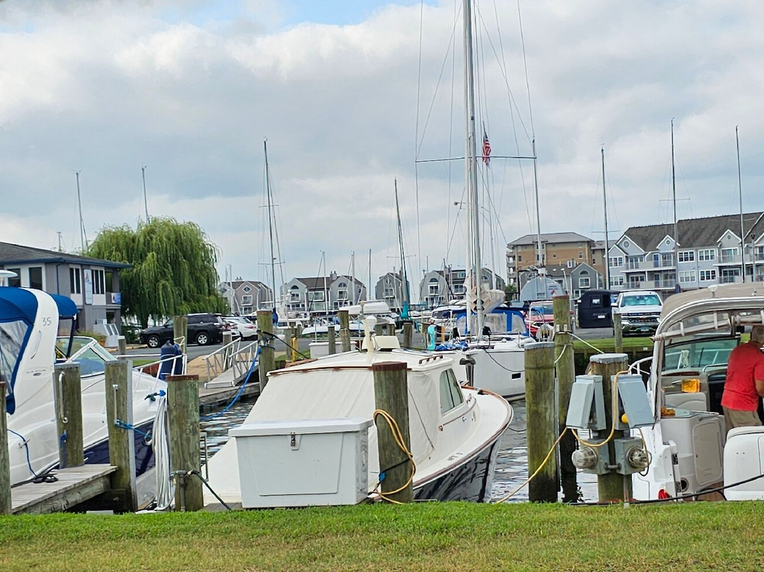 Tidewater Marina-Havre de Grace必去景点
