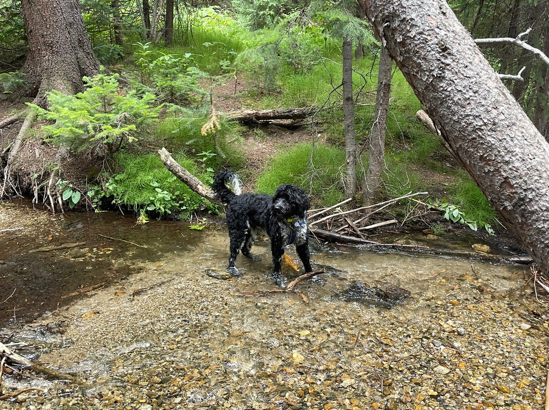 Sawmill Reservoir-布雷肯里奇必去景点
