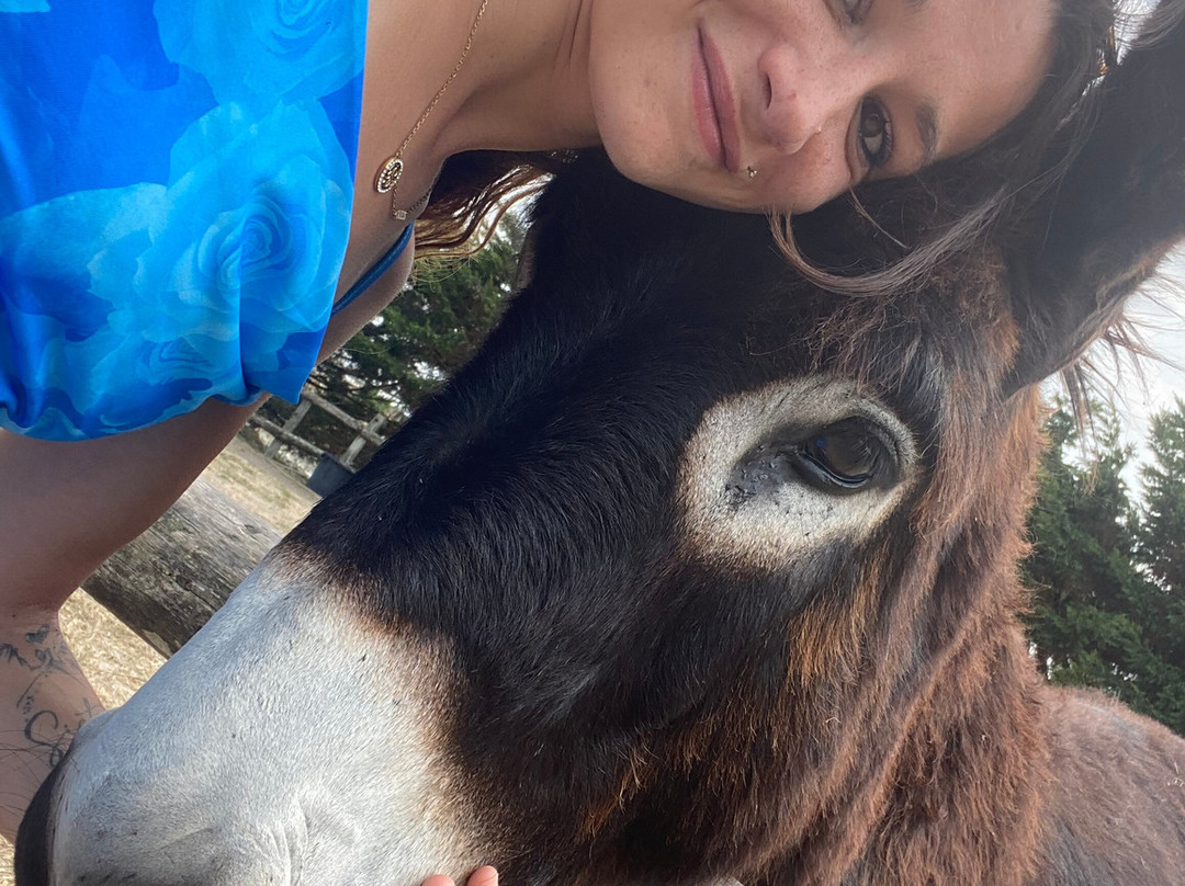 La Maison de l'Âne-Beauvoir-Sur-Mer必去景点