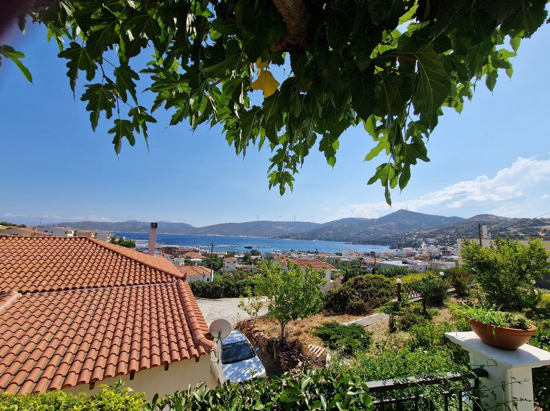 Triantafilia Guesthouse主图