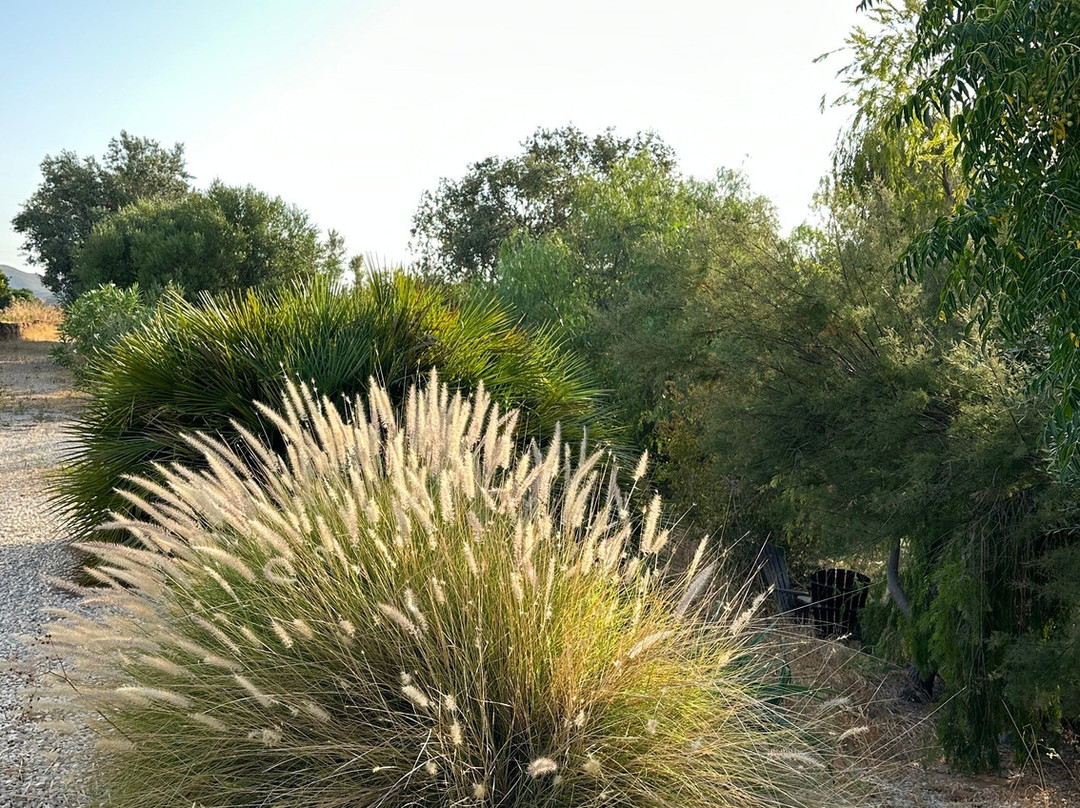 Quinta da Luz - A Luxury Boutique B&B主图