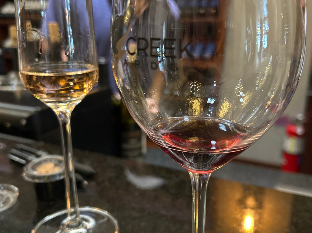 Grape Creek Vineyards on Main-弗雷德里克斯堡必去景点