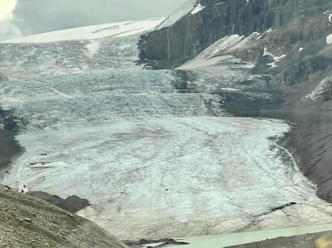 Columbia Icefield Scenic Walks-班夫必去景点