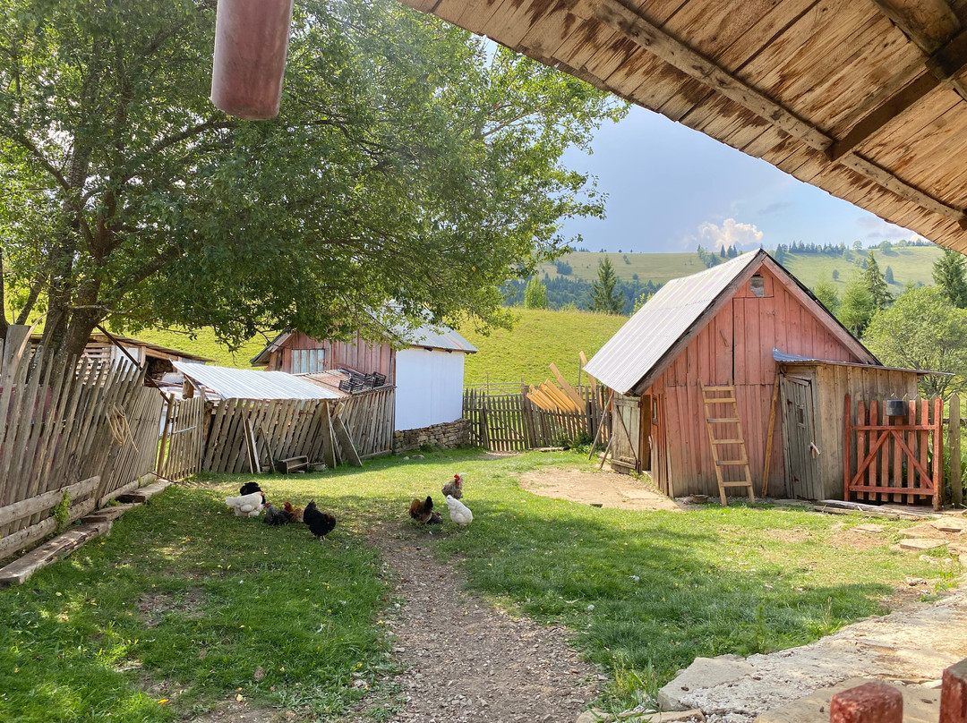 CarpatBike-布加勒斯特必去景点