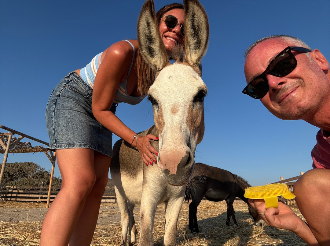 Donkey Farm Milos-Adamas必去景点