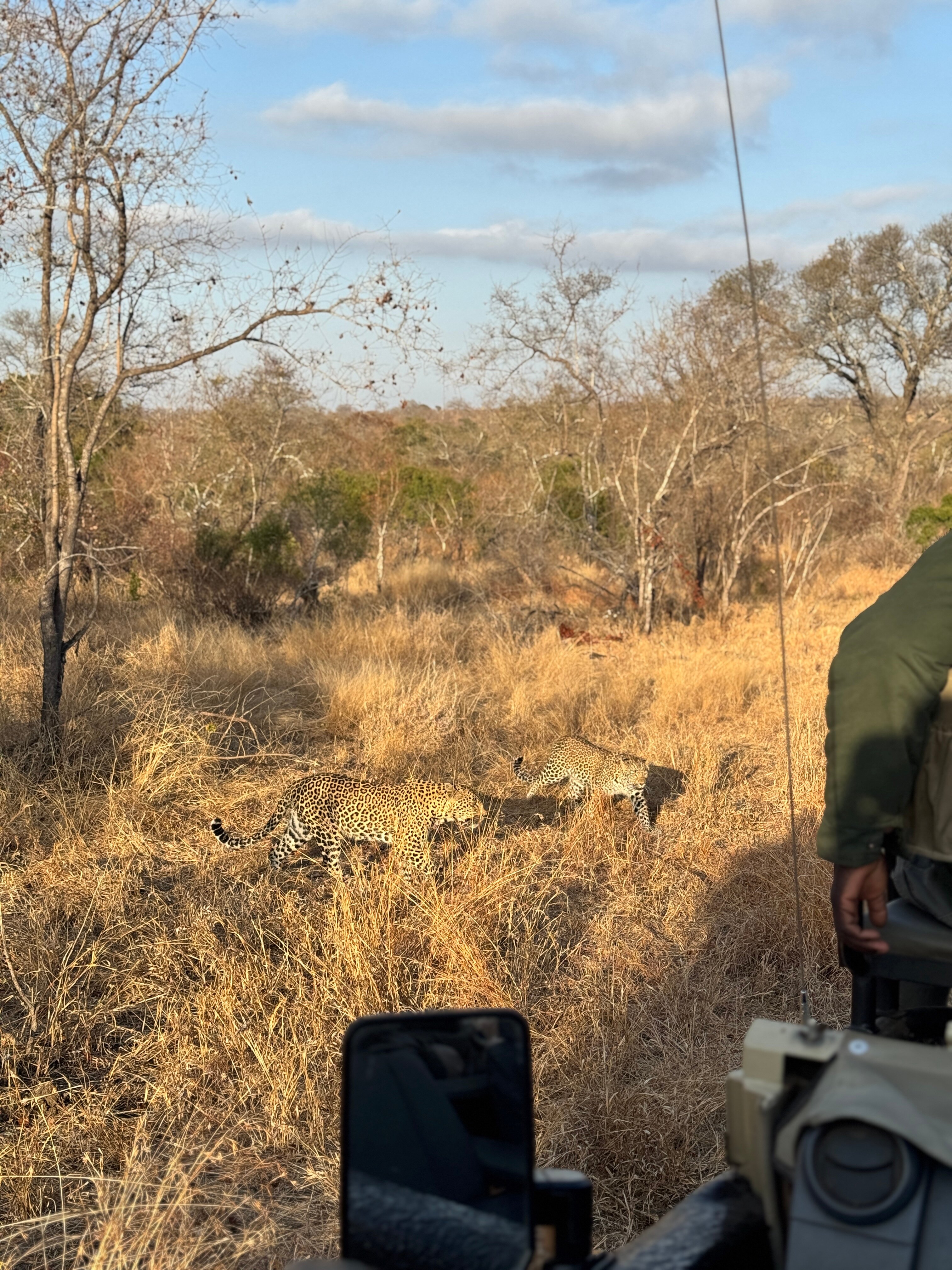 阿拉修萨野生动物园酒店-官方