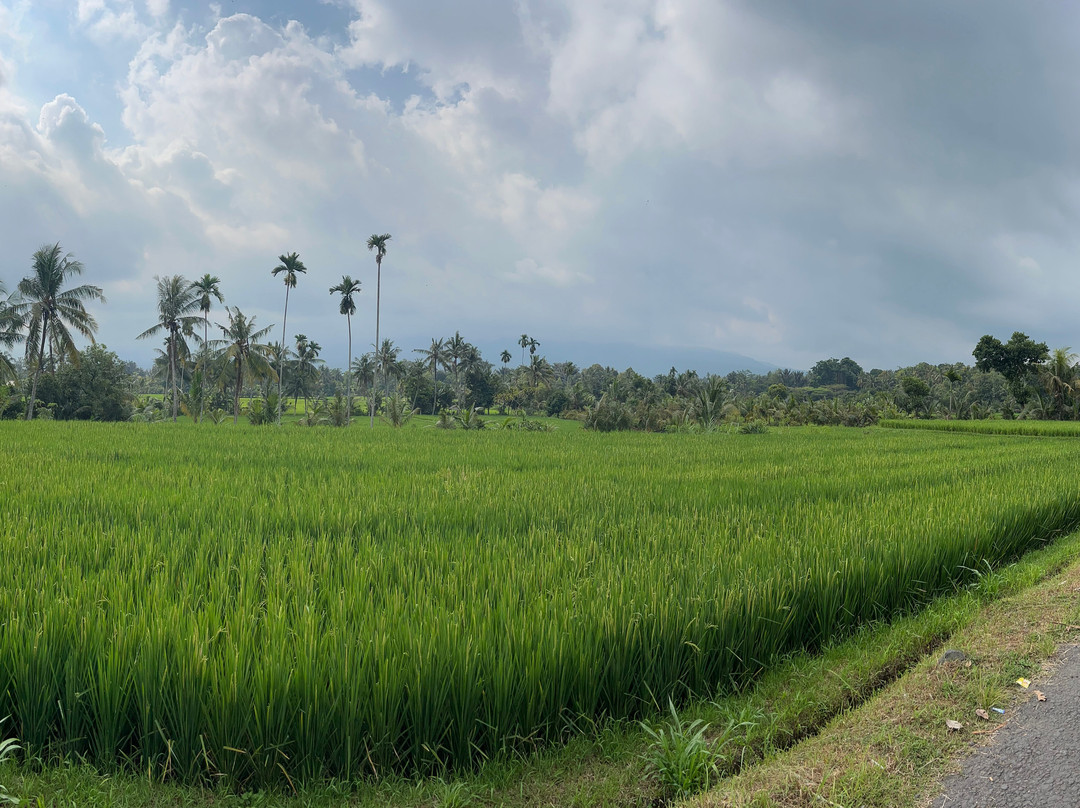 Lombok Bike Trip-Senggigi必去景点