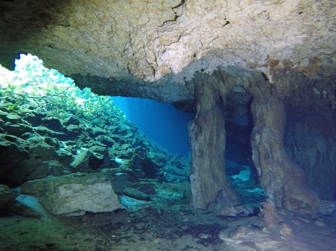Happy Manta Cenote Diving-普拉亚德尔卡曼必去景点