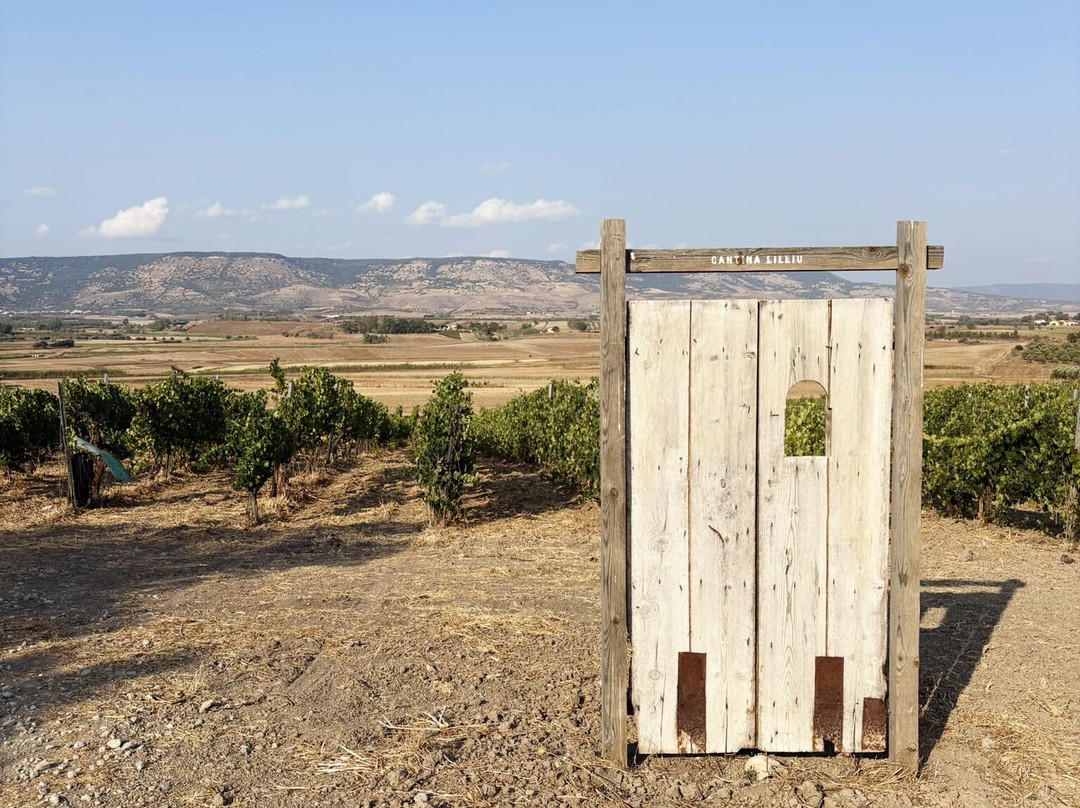 Cantina Lilliu-Ussaramanna必去景点