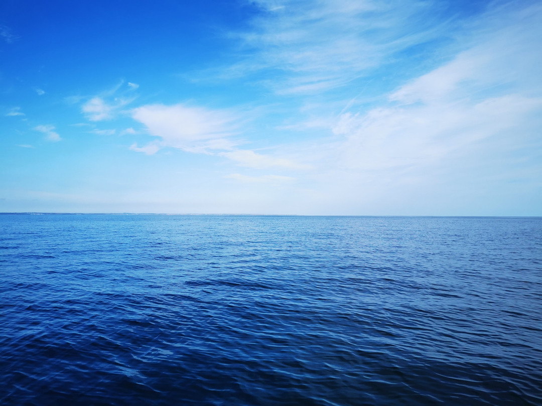 Kingfisher Coastal Charters-Newlyn必去景点