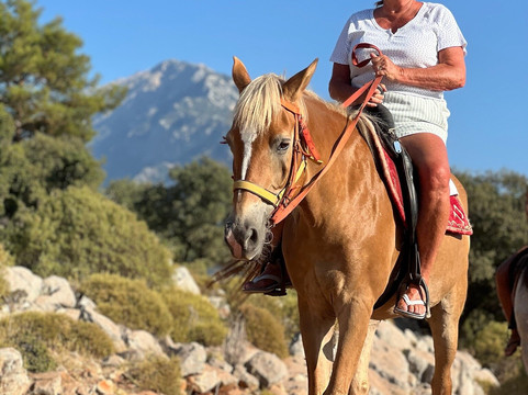 Family Horse Farm-厄吕代尼兹必去景点
