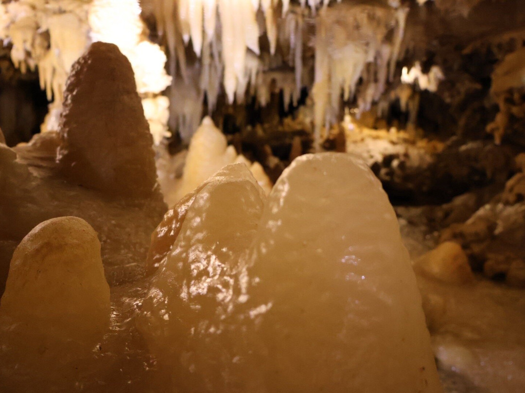 Grotte du Grand Roc-Les Eyzies-de-Tayac-Sireuil必去景点