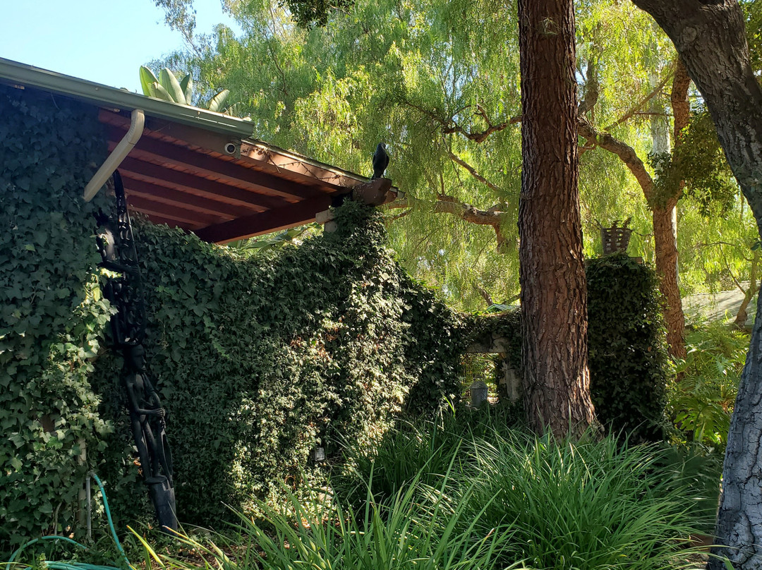 Emerald Iguana Inn主图