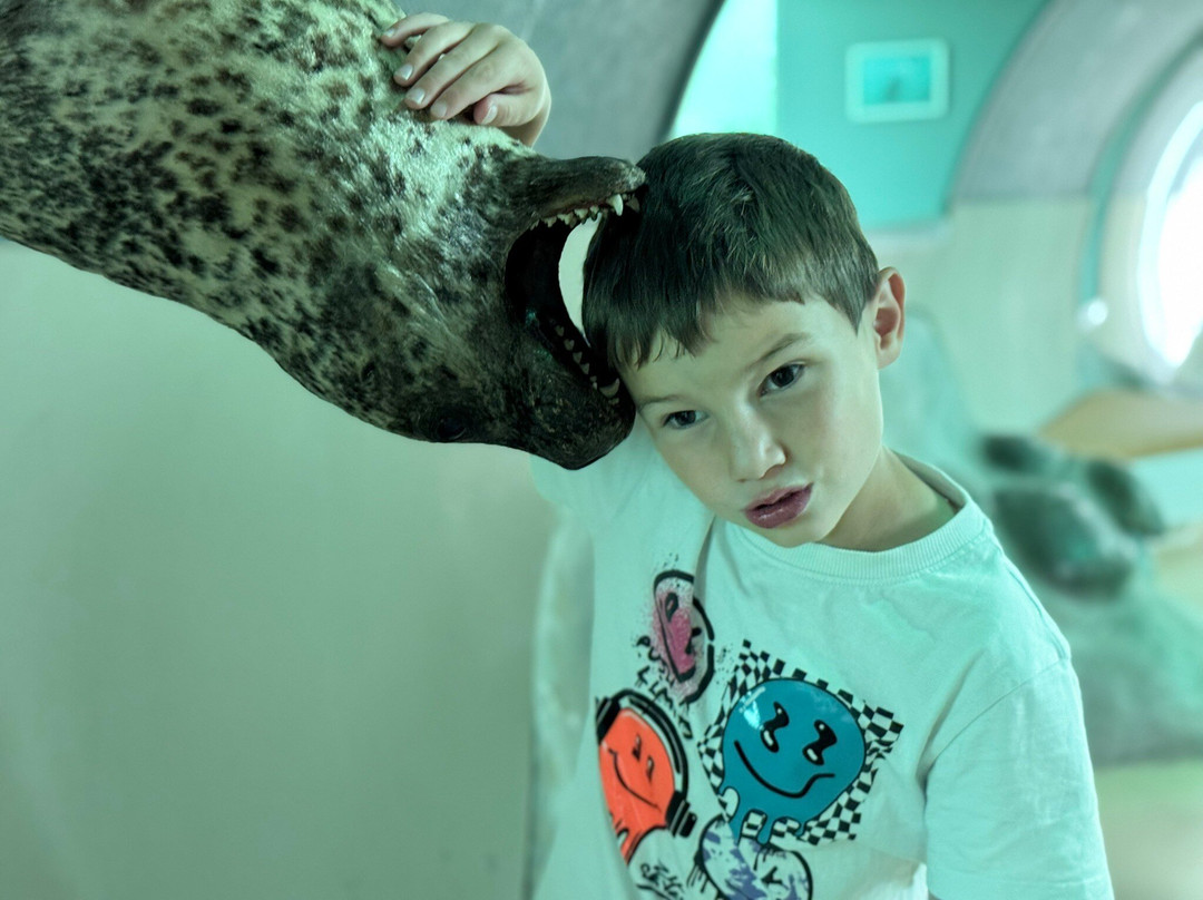 Fjord & Baelt-凯特明讷必去景点