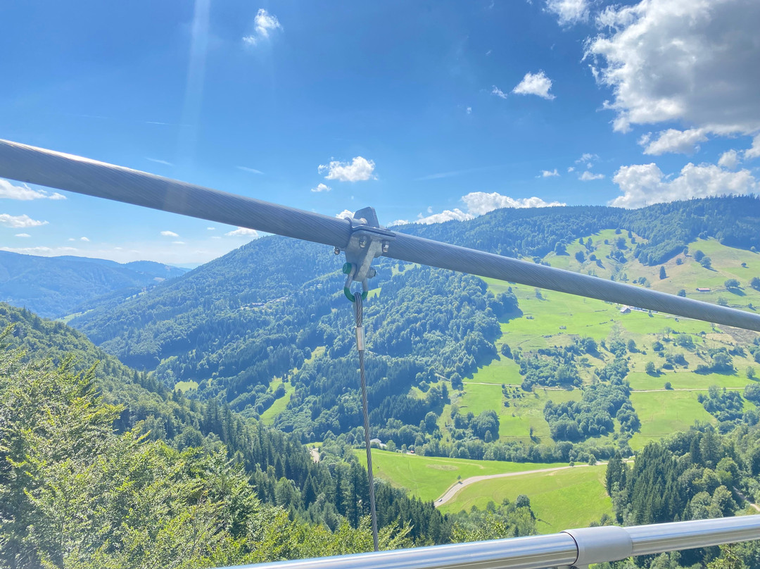 Blackforestline Hangebrucke