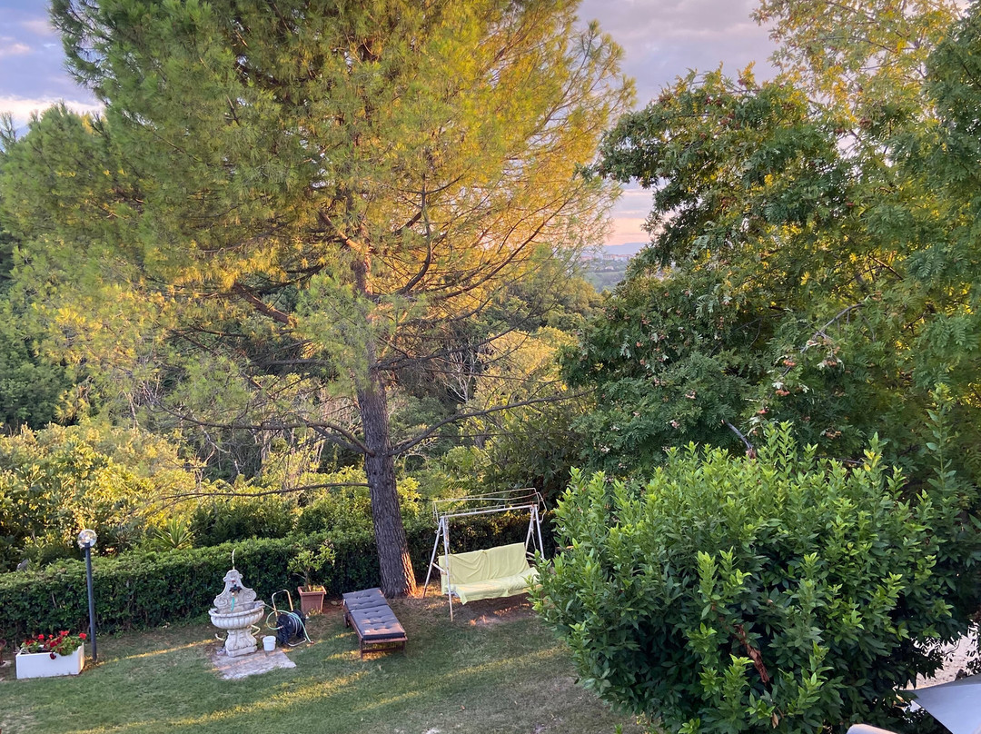 B&B La Campagna del Conero主图