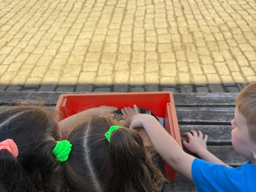 Croxteth Park Farm-利物浦必去景点