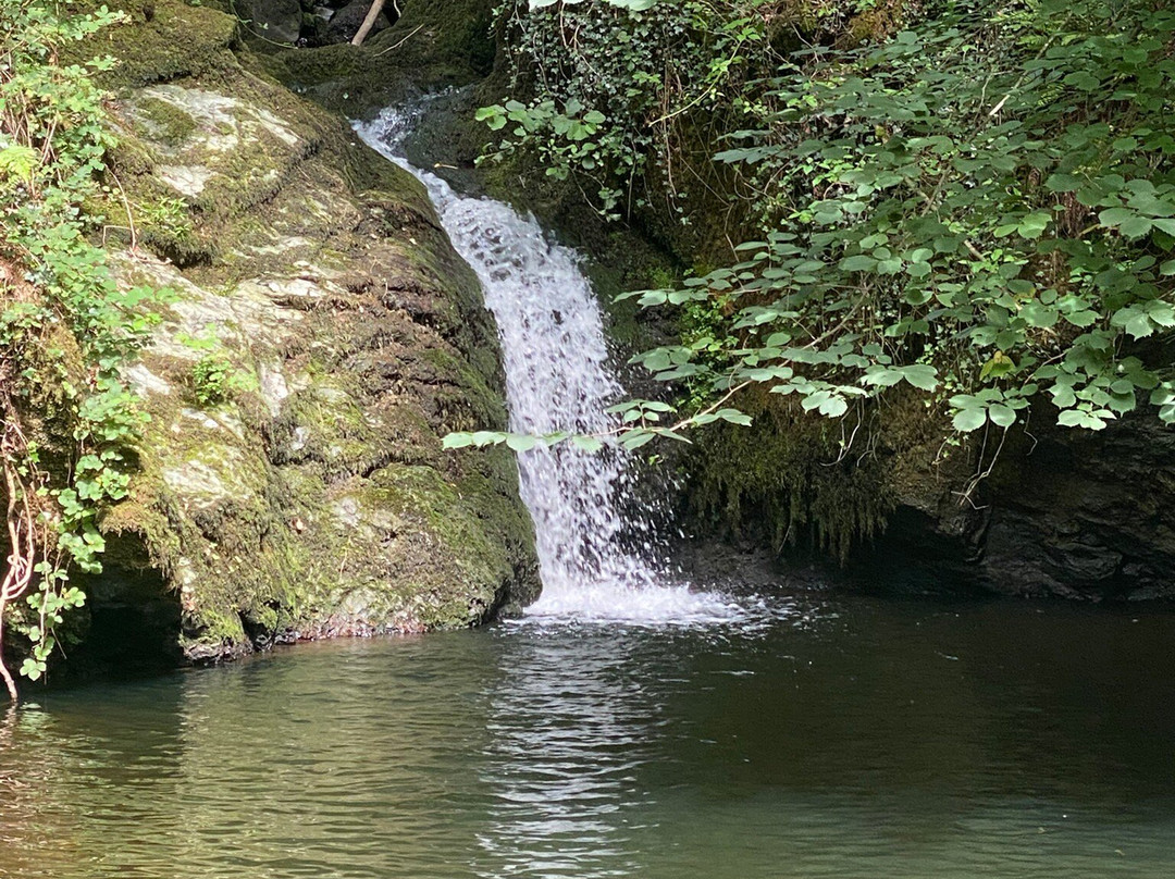Plas Cadnant Hidden Gardens-Menai Bridge必去景点