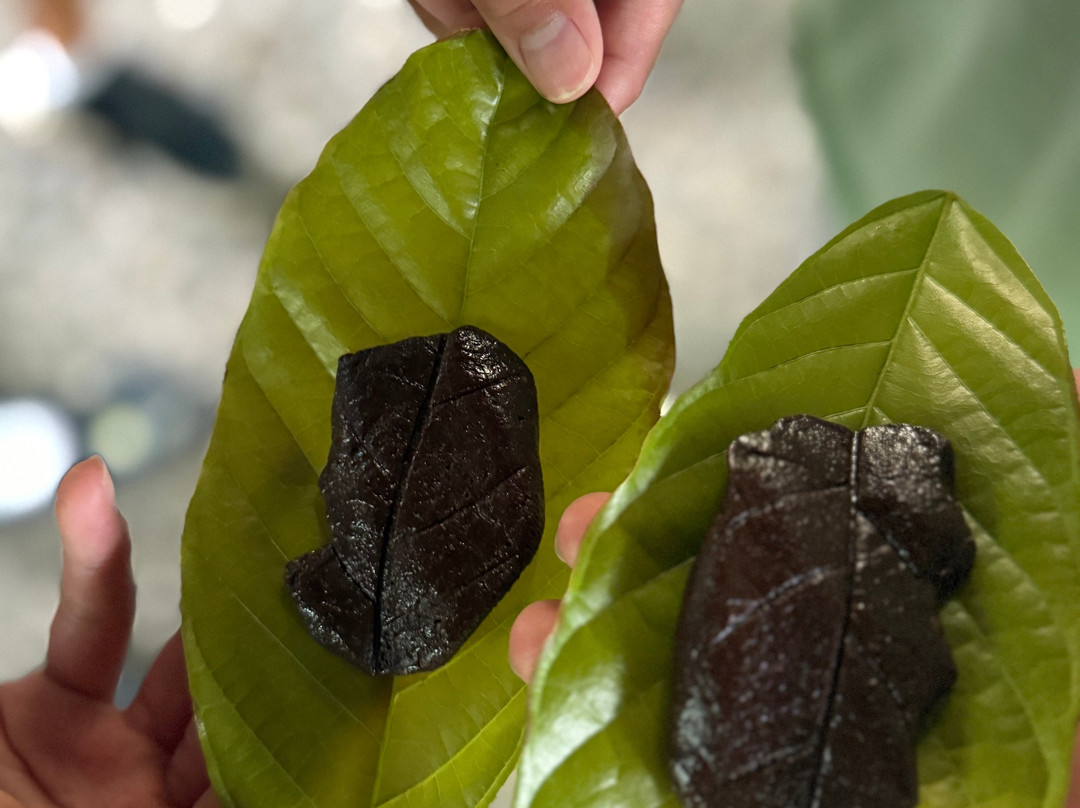 Cacao Trails Culture Tour-Hone Creek必去景点