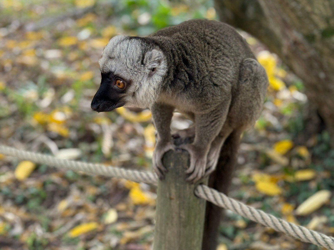 Zoo de Champrepus-Champrepus必去景点