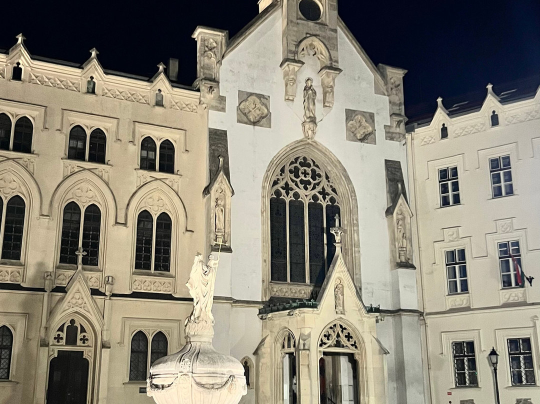 帕拉缇诺斯酒店主图