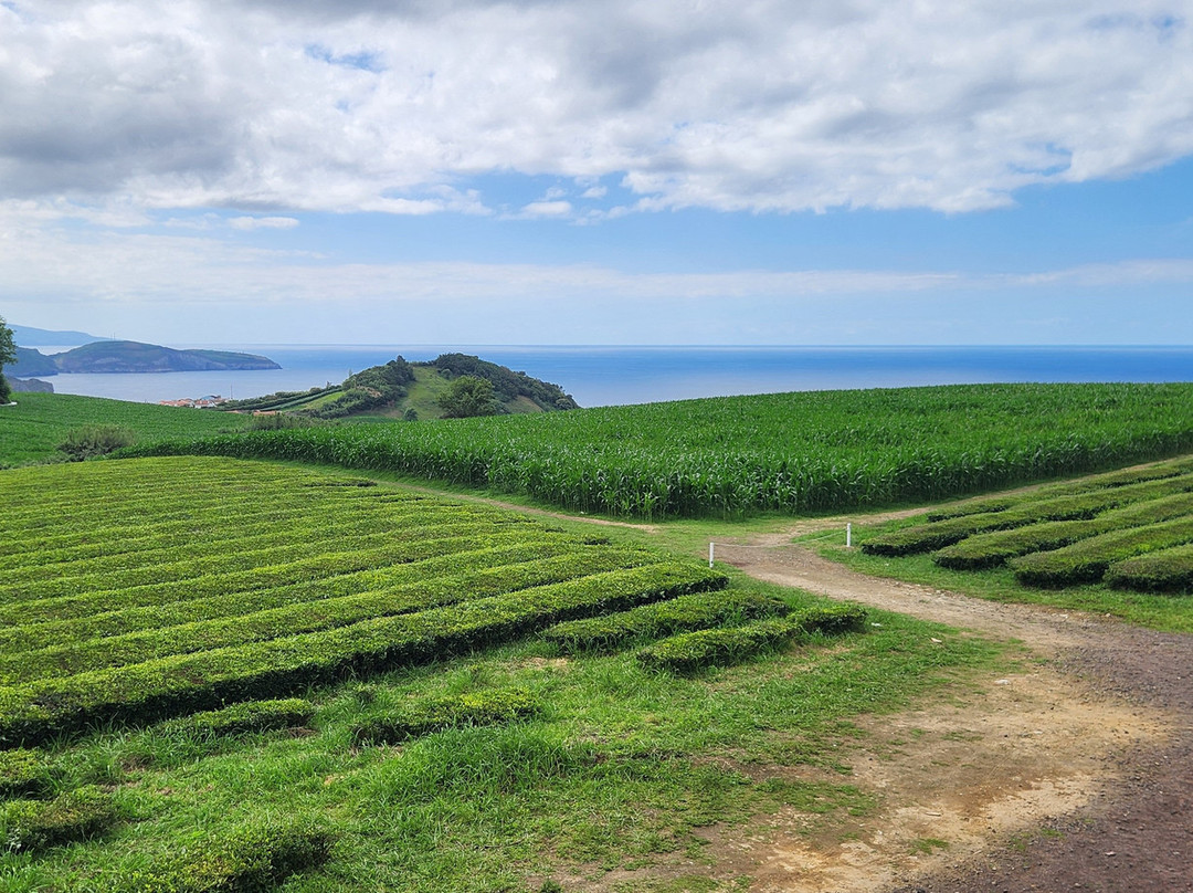 Azores Connections-大里贝拉必去景点