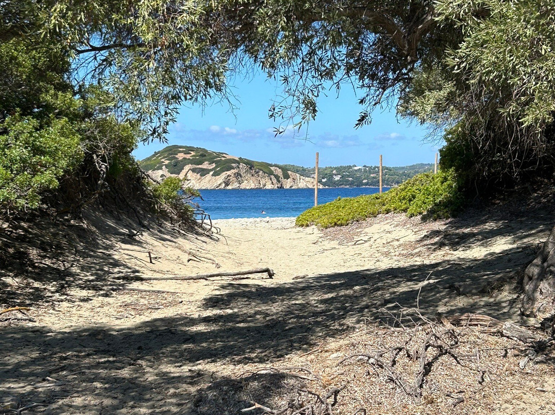 Nikolaki's Swimming Trips-Skiathos Town必去景点