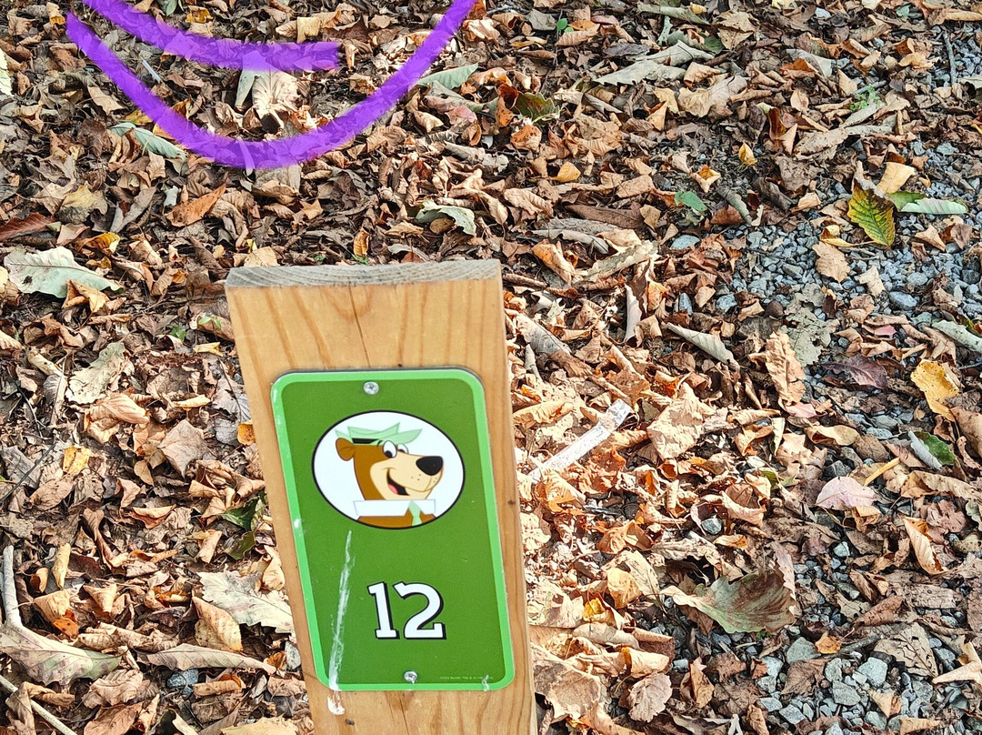 Yogi Bear's Jellystone Park-Quarryville必去景点