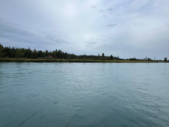 Hook Line & Land Em Fishing Adventures-基奈必去景点