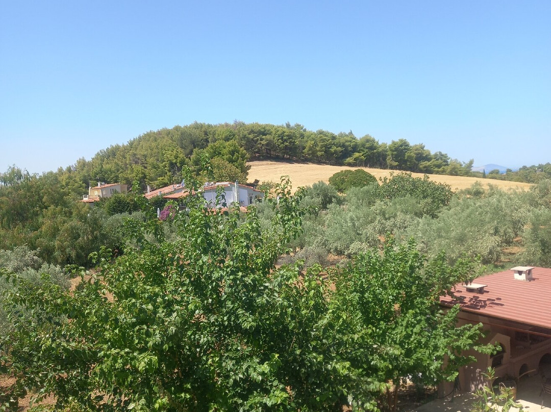 Paradise Hotel主图