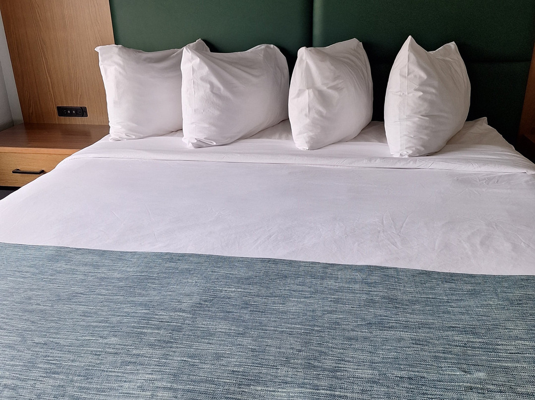 Wingate by Wyndham Mansfield OH主图