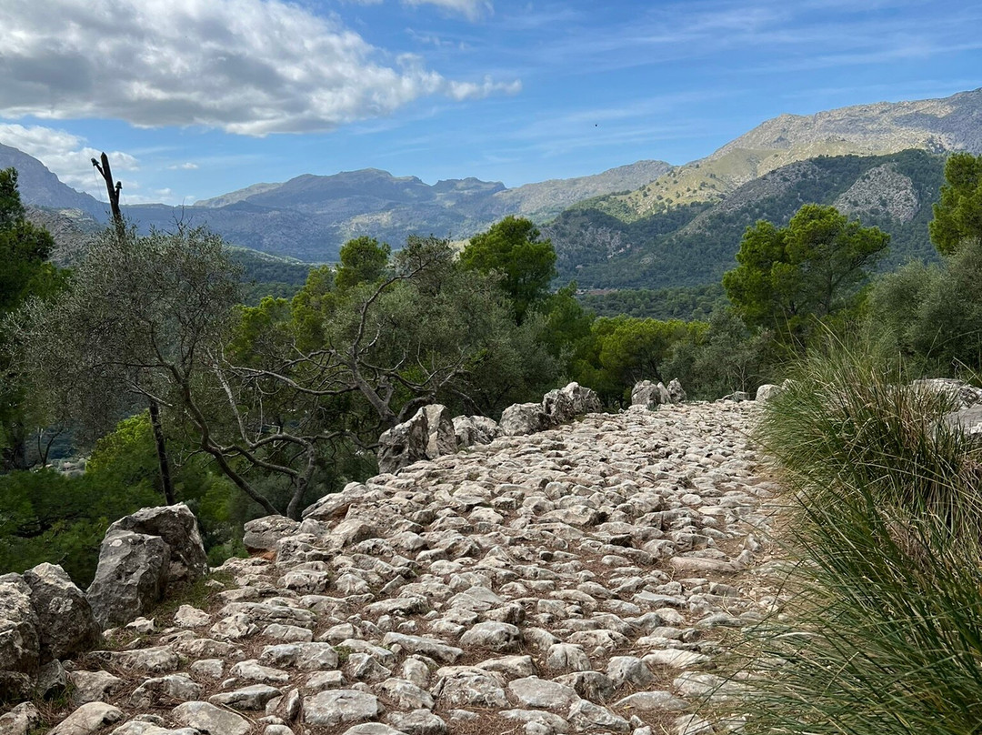 Puig de Pollenca-Pollenca必去景点