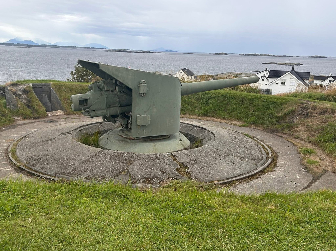 Norway Excursions-奥勒松必去景点