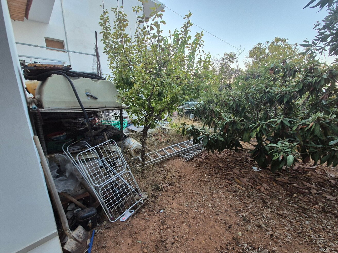 瓦萨洛拉斯酒店主图