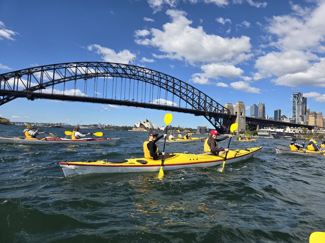 Sydney Harbour Kayaks-莫斯曼必去景点
