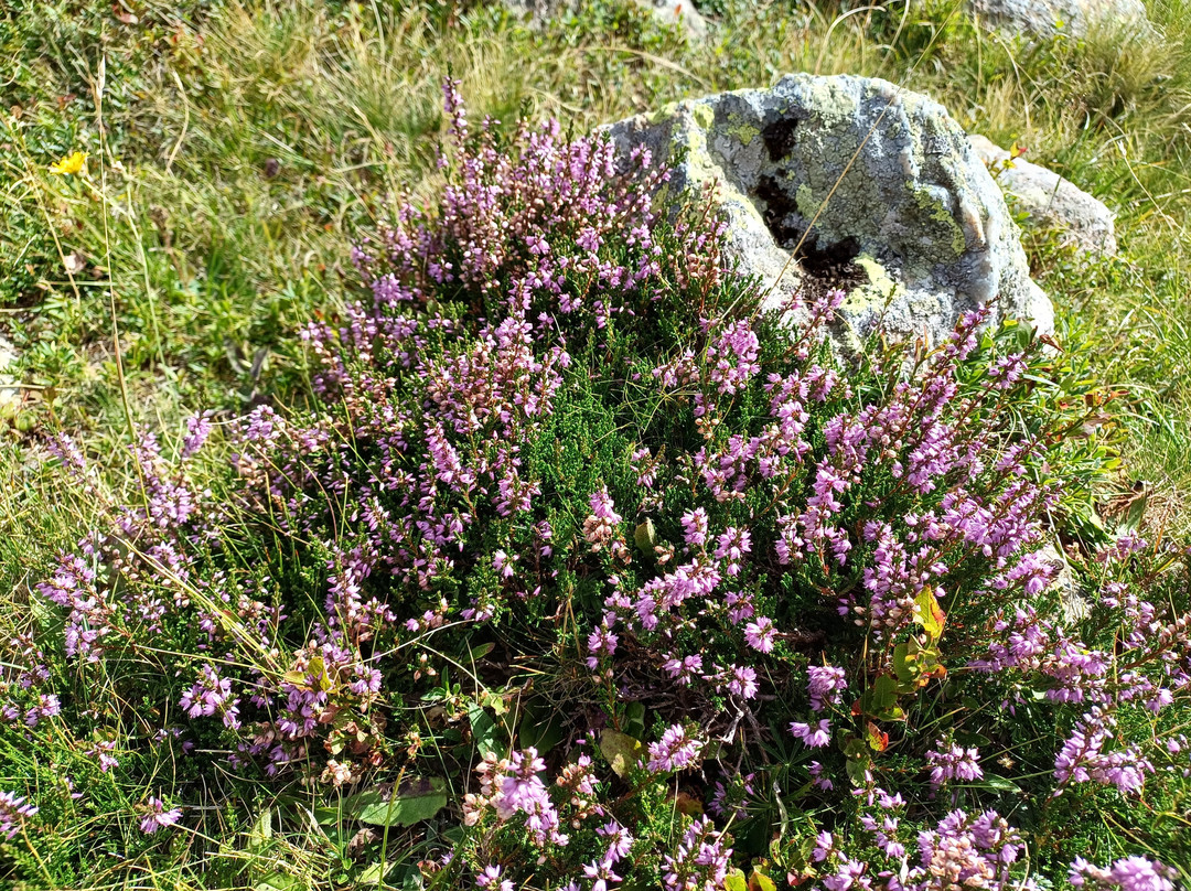Rifugio Capanna Renata-Oropa必去景点