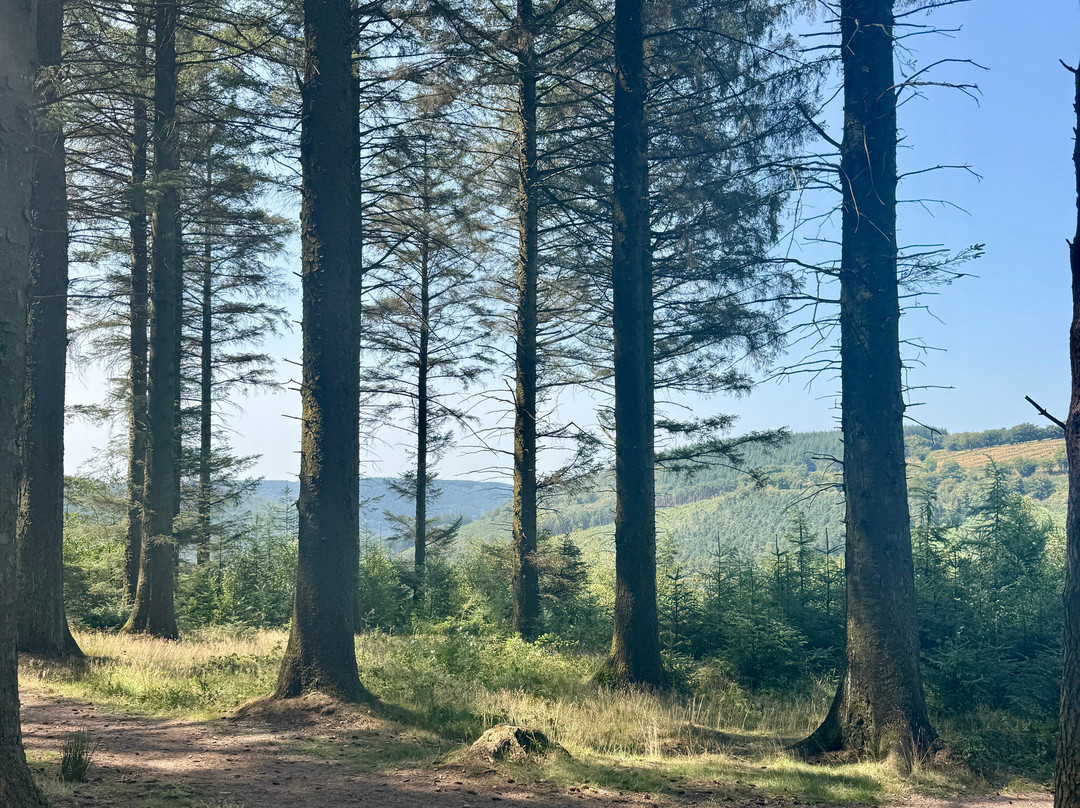 Cwmcarn Forest-Cwmcarn必去景点