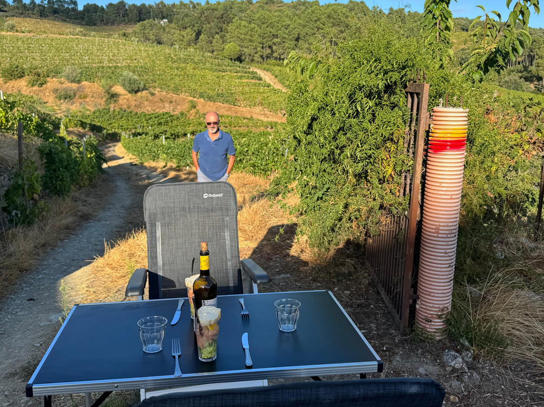 Quinta do Roncão-Vila Real必去景点