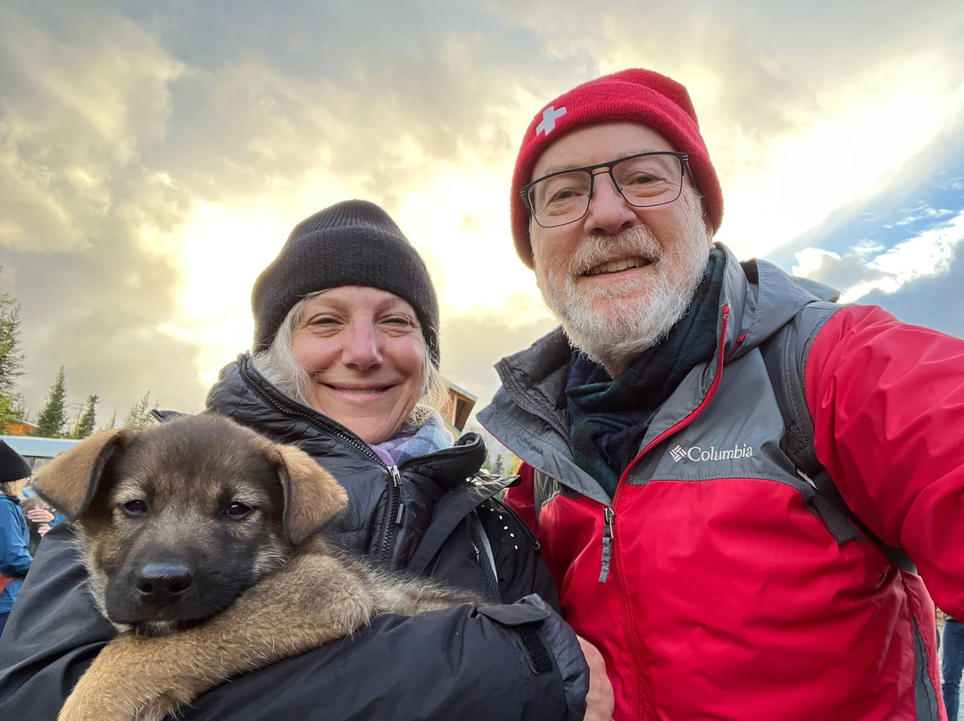 Dog Gone It-坎特维尔必去景点