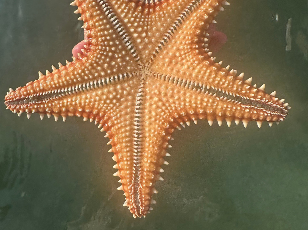 Bungalows on the Bay主图
