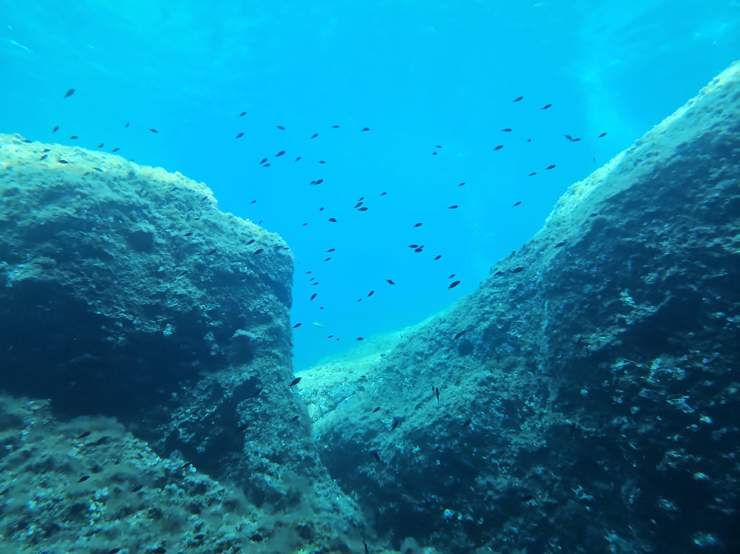 Orca Diving Ustica-Ustica必去景点